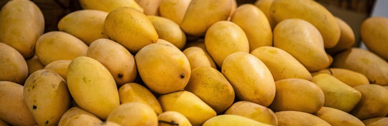 热带水果 tropical fruit