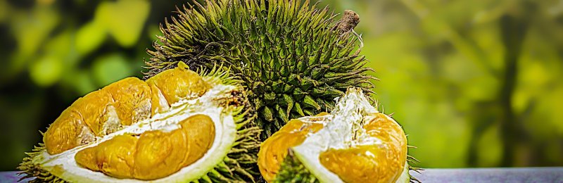 热带水果 tropical fruit