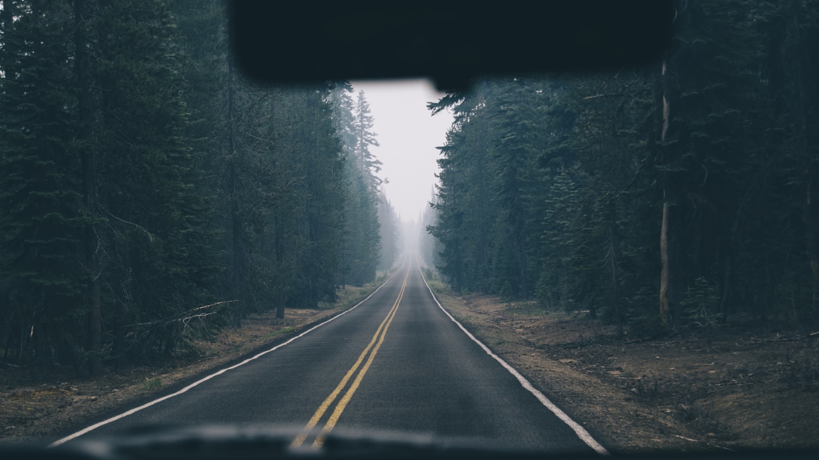 自驾游 road trip