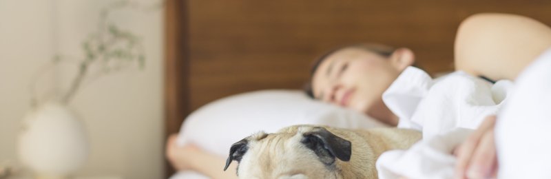 睡眠 sleep