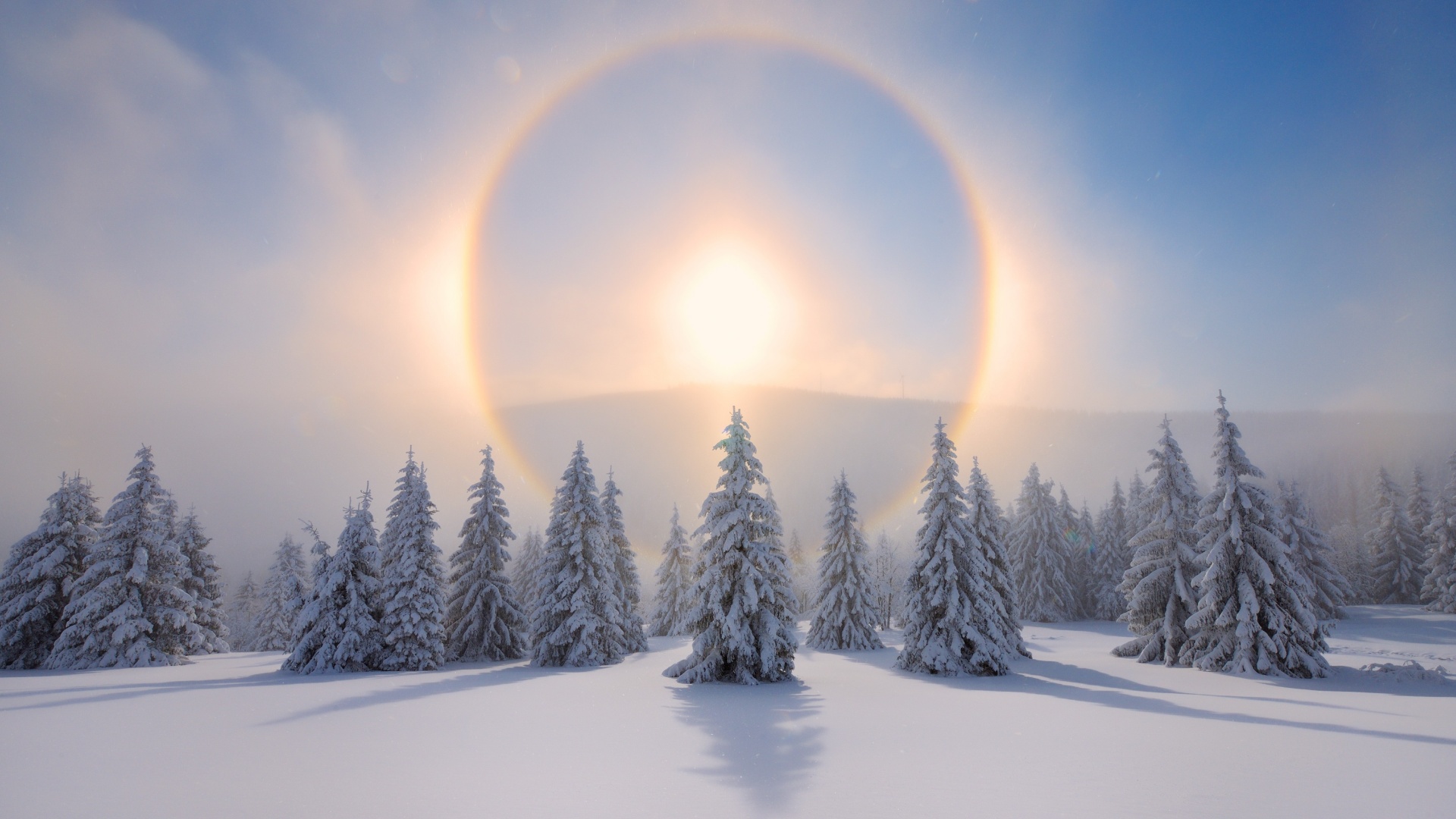 冬至 Winter Solstice